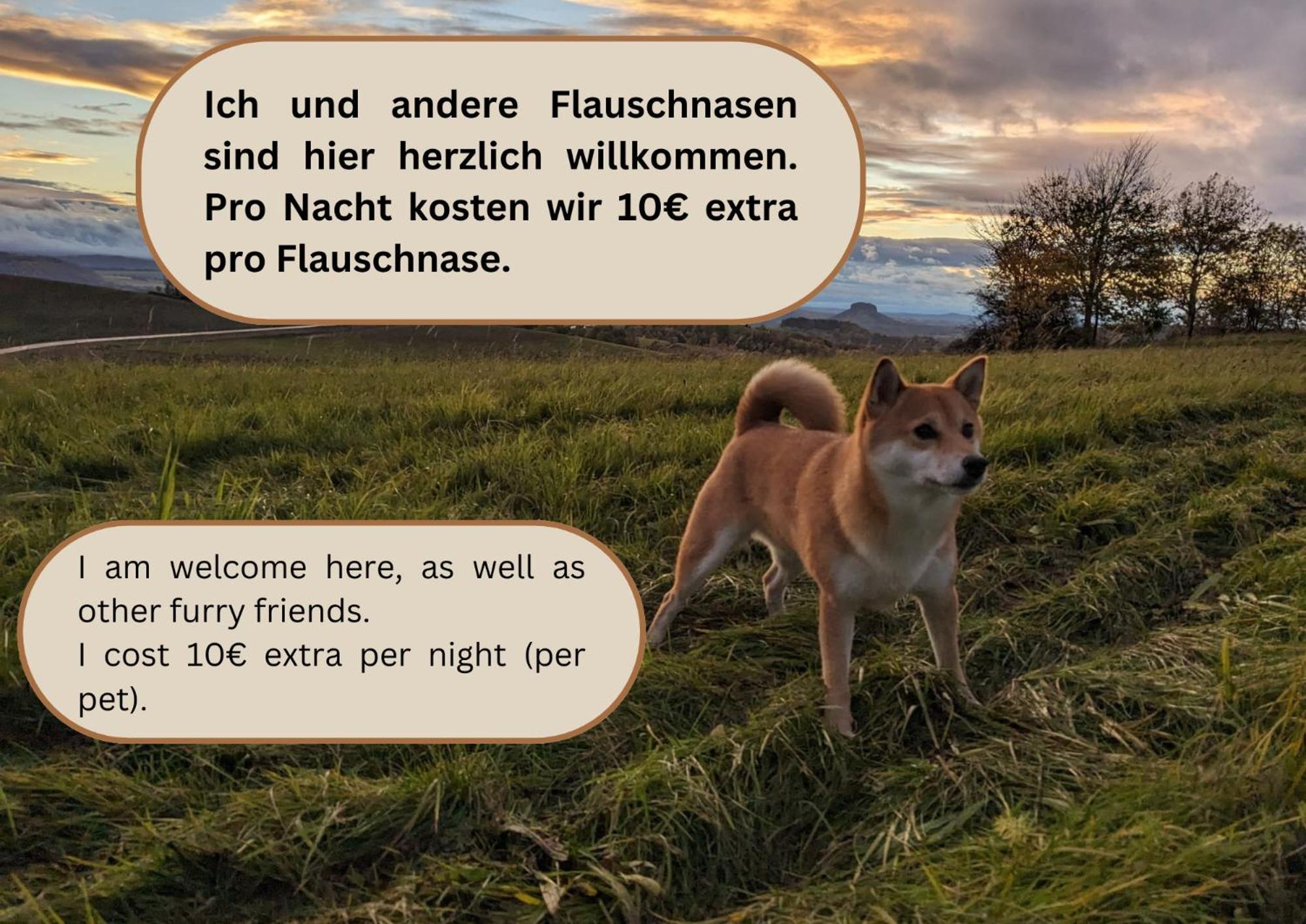 W2 - Urlaubsmagie - Im Herzen Des Elbsandsteingebirges Sebnitz Luaran gambar